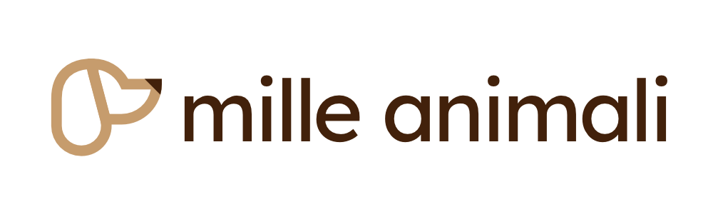 Transparent-Logo-Einzeilig-cut